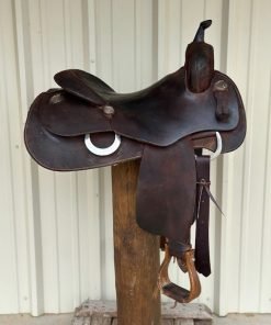 Scottsdale Western World Reiner