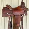 Stray Dog Cowhorse