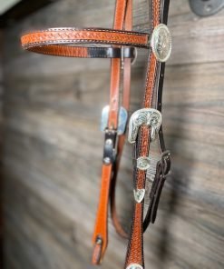 Browband Show Headstall